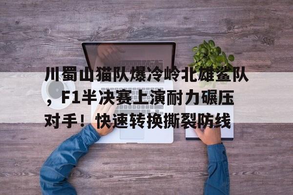 包含川蜀山猫队爆冷岭北雄鲨队,F1半决赛上演耐力碾压对手!快速转换撕裂防线的词条星空体育